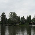 Szarvas 030